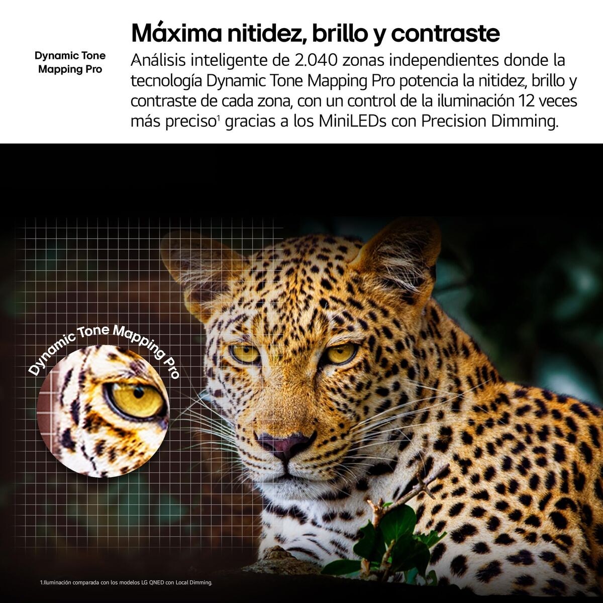 V3H8A55E7C030B7CA12F16FC13354A159E5R7655196P6