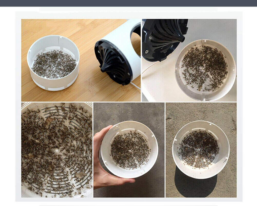 Led Insect Killer Lamp Led Insect Killer Lamp