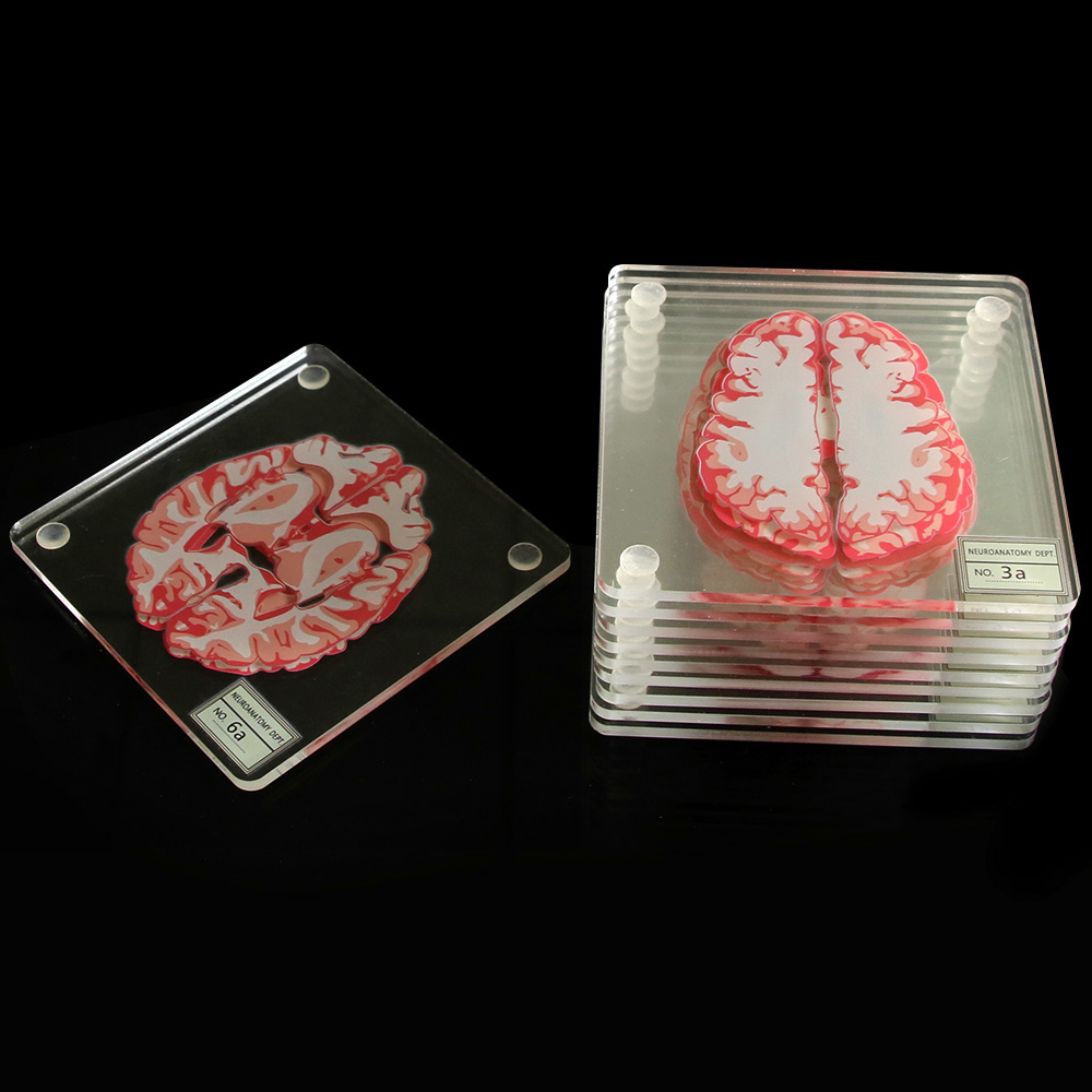 3D Brain Printed Table Coaster 3D Brain Printed Table Coaster