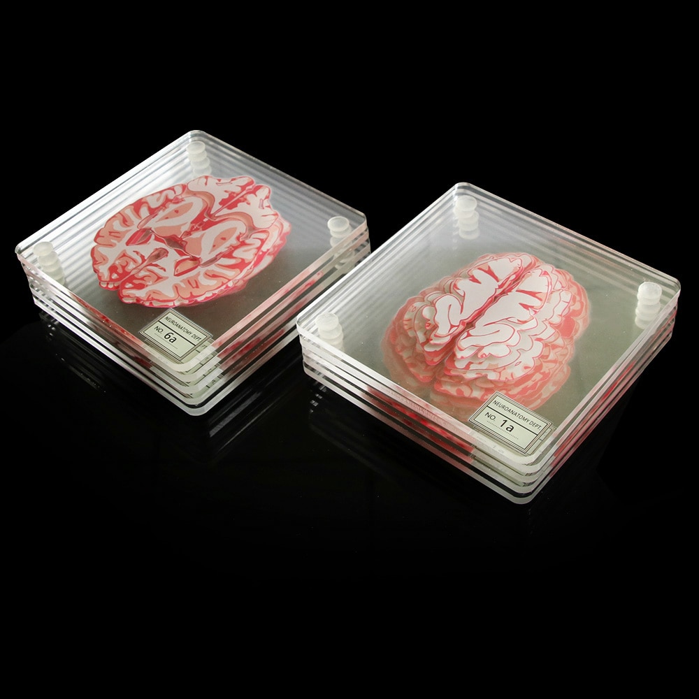 3D Brain Printed Table Coaster 3D Brain Printed Table Coaster