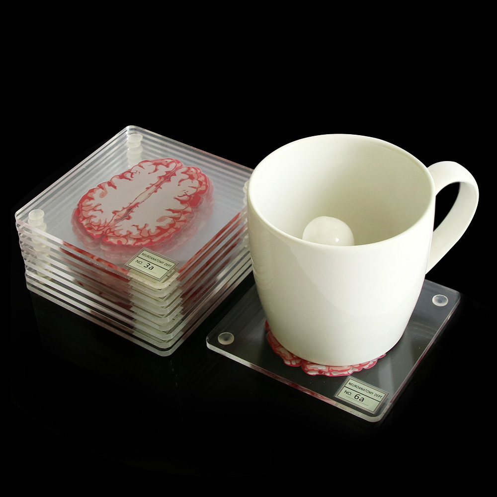 3D Brain Printed Table Coaster 3D Brain Printed Table Coaster