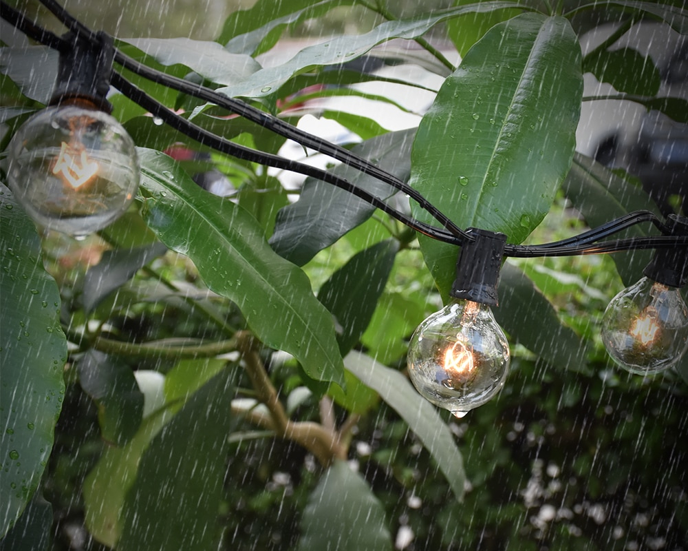 String Light Bulbs For Garden